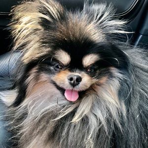 Meet your Posher, Mary beth